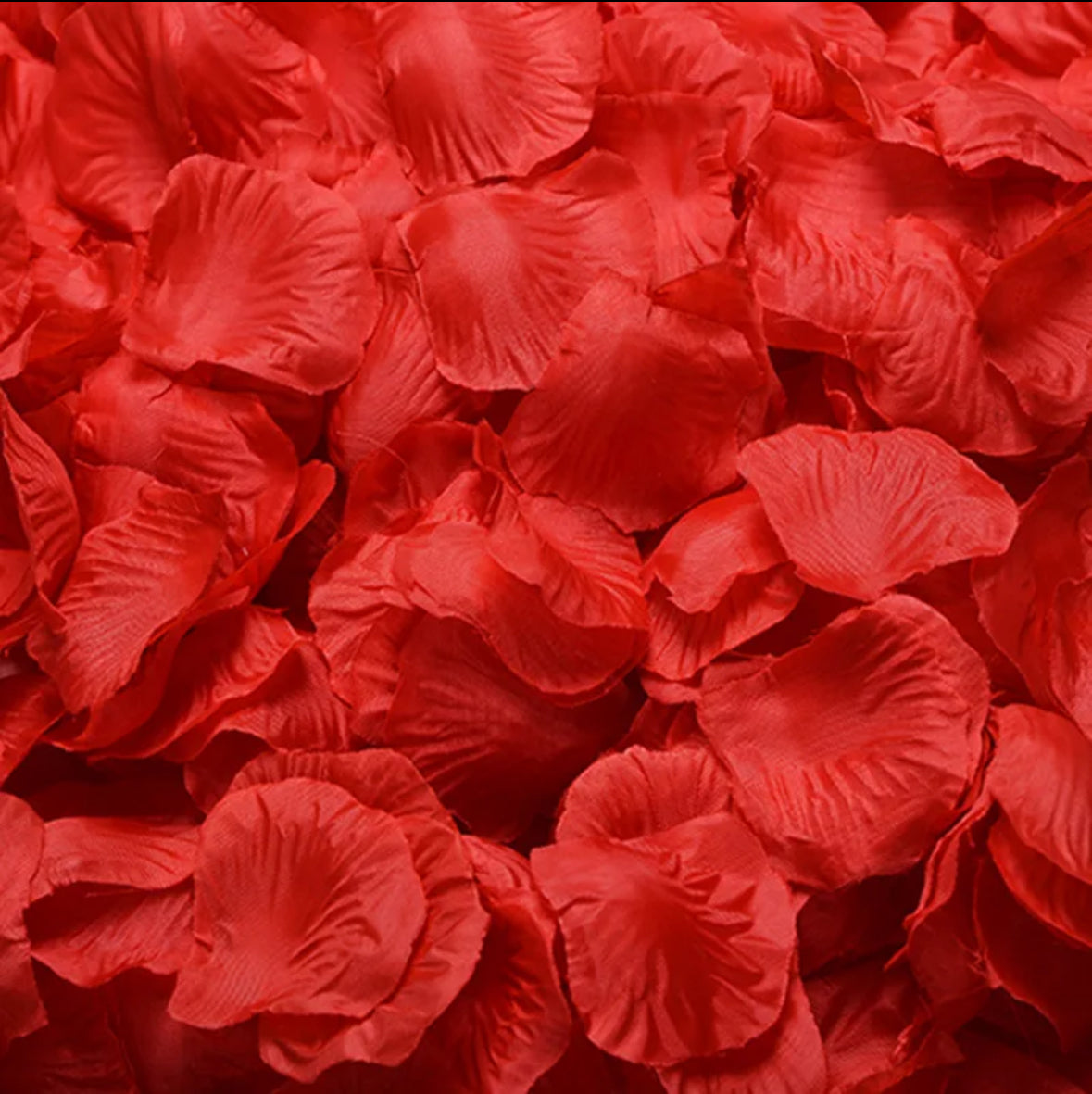 Pétale de roses artificielles (100pcs)